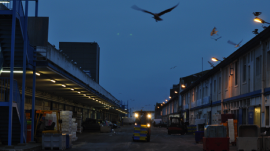 Je serai parmi les amandiers