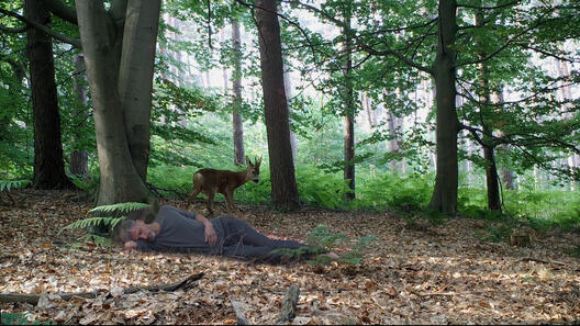 LE DORMEUR EVEILLE