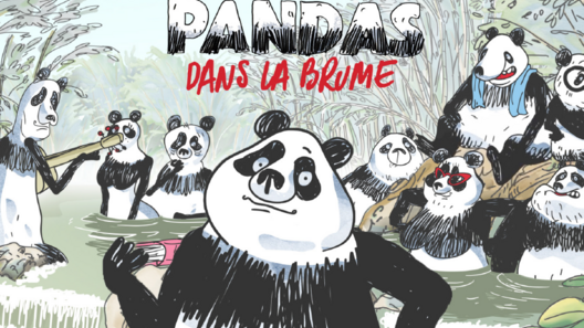 PANDAS DANS LA BRUME S3