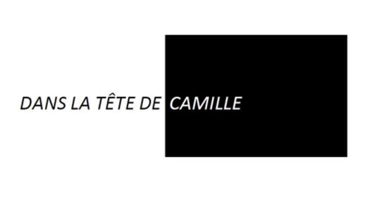 PAULINE GRANDEUR NATURE AKA DANS LA TÊTE DE CAMILLE