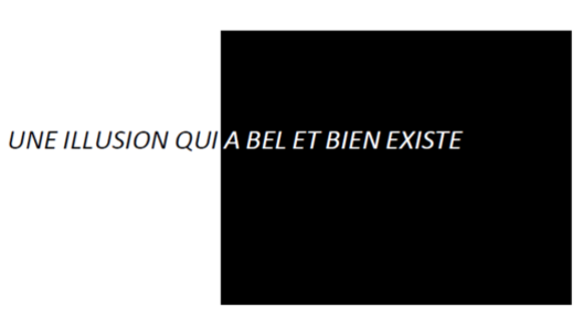 UNE ILLUSION QUI A BEL ET BIEN EXISTE