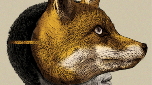 THEATRE DE POCHE FOXFINDER
