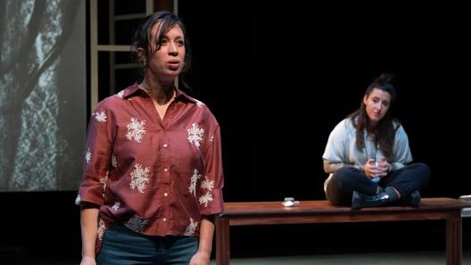 ©Alice Piemme_Le Rideau