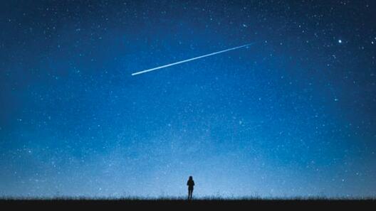 ©Maison de la création