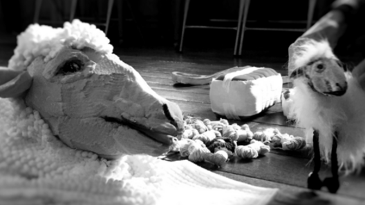Je ne suis pas un mouton