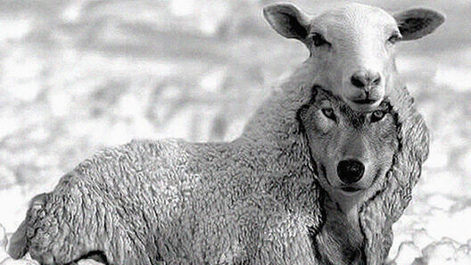 Un loup pour l’homme