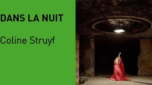 DANS LA NUIT