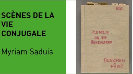 SCENES DE LA VIE CONJUGALE
