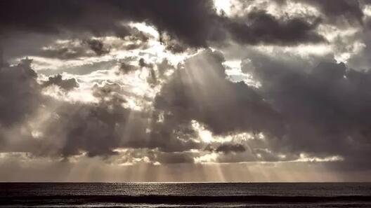 ©Palais des Beaux-Arts de Charleroi