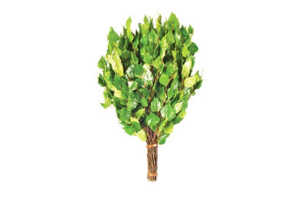 Vihta