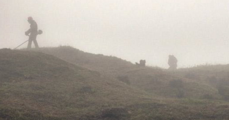 Paysages en bataille