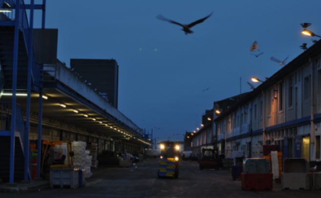 Je serai parmi les amandiers