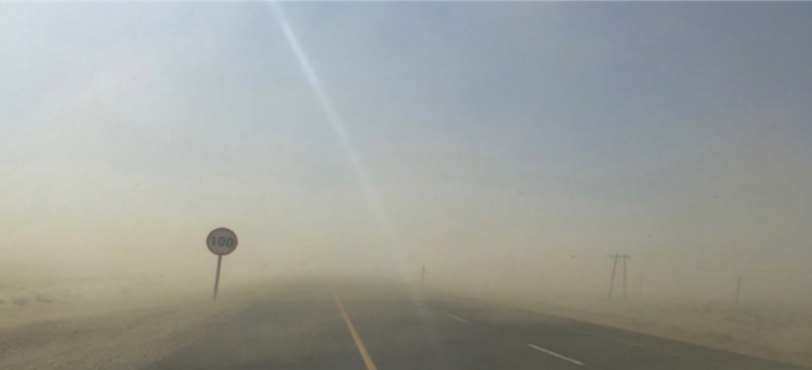 PARADISE IN THE DESERT