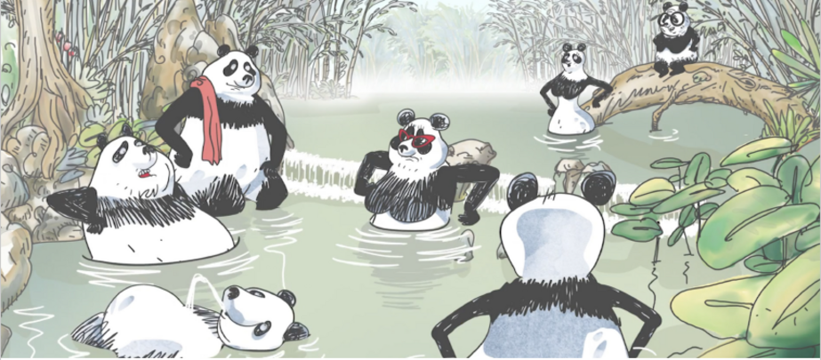 PANDAS DANS LA BRUME S3