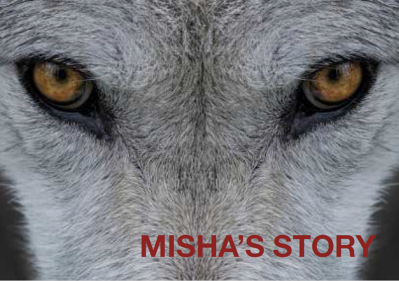MISHA'S STORY