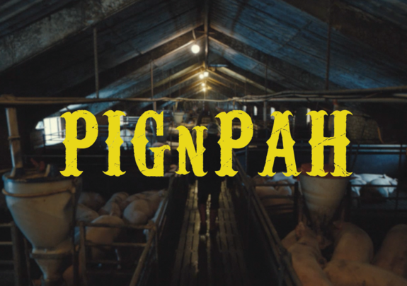 PIG N PAH