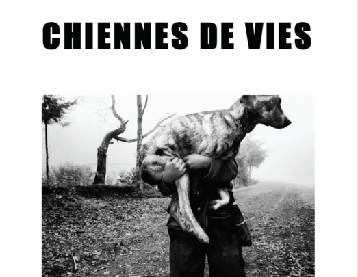 CHIENNES DE VIES