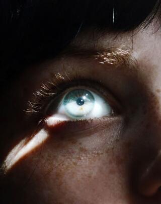 LE SOLEIL DE TROP PRES