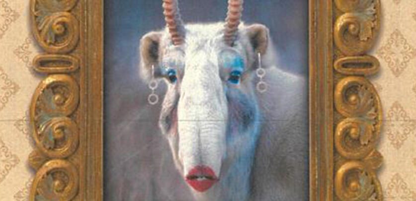 LA BEAUTE CACHEE DES LAIDS