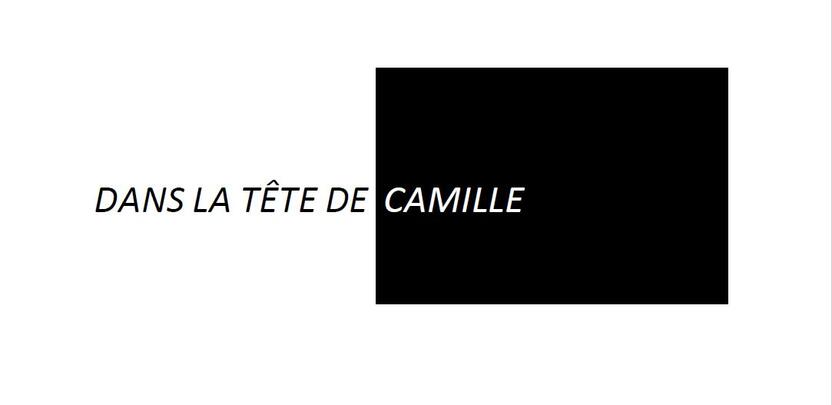 PAULINE GRANDEUR NATURE AKA DANS LA TÊTE DE CAMILLE