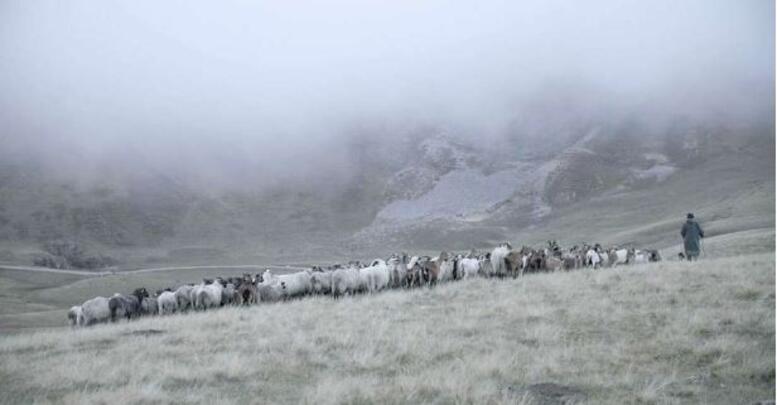 LES DERNIERS NOMADES