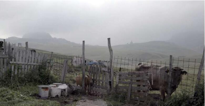 LES DERNIERS NOMADES