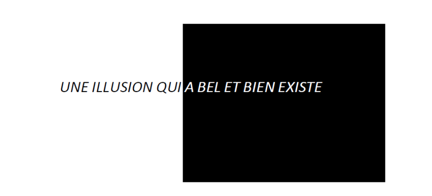 UNE ILLUSION QUI A BEL ET BIEN EXISTE