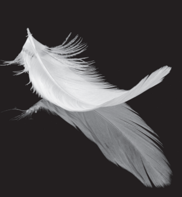 image sur le site du théâtre du parc