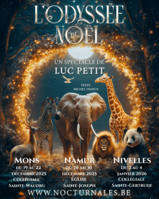 l'odyssee de noel