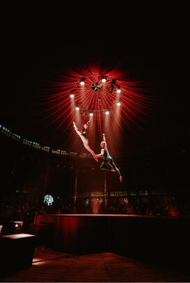 ©MAGIC CABARET_Gare Maritime Tour et Taxi