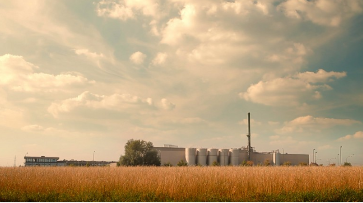 PINK BOYS AND OLD LADIES