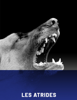 LES ATRIDES