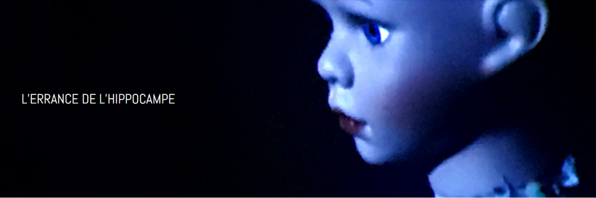 L'errance de l'hippocampe