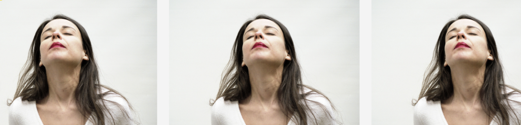 A CHEVAL SUR LE DOS DES OISEAUX