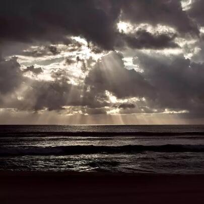 ©Palais des Beaux-Arts de Charleroi